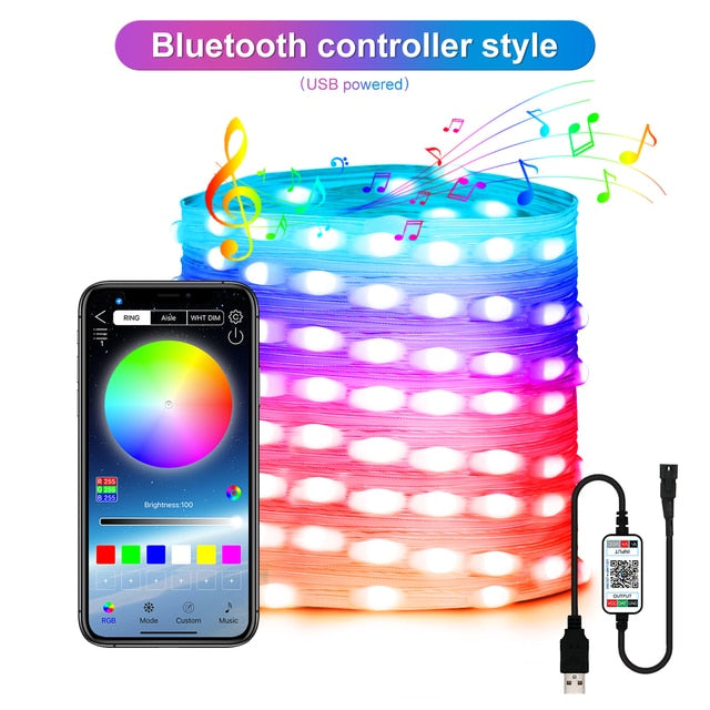 Bluetooth Control LED Fairy Lights